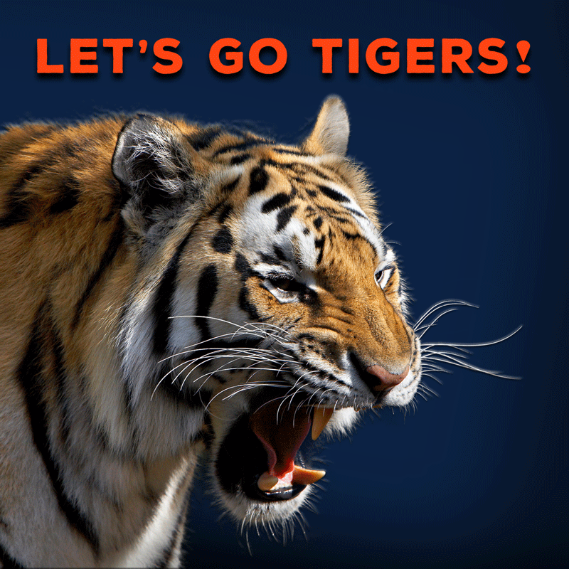 Lets-Go-Tigers
